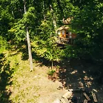 Treehouse