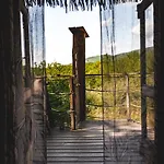 Lüks kamp alanı Treehouse
