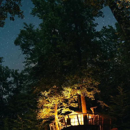 Treehouse