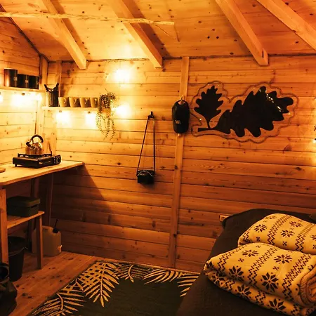 Campo de lujo Treehouse *