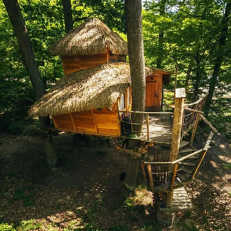 Treehouse *