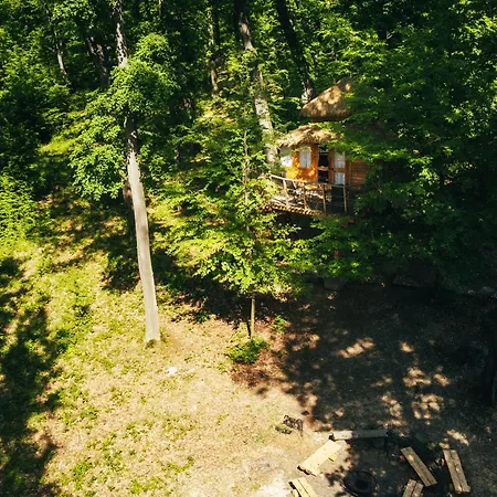 Treehouse