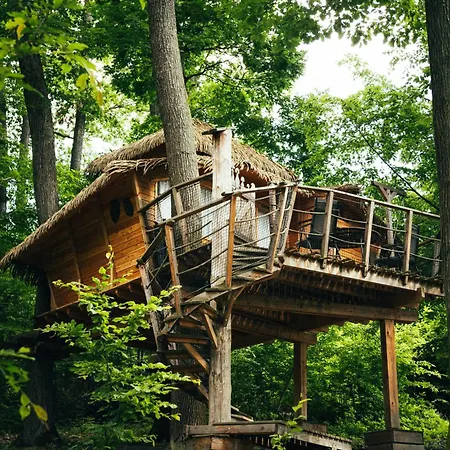 Treehouse Campo de lujo