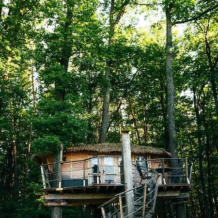 Treehouse
