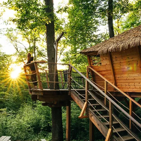 Treehouse *